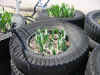 VintageRally35.jpg (80788 bytes)